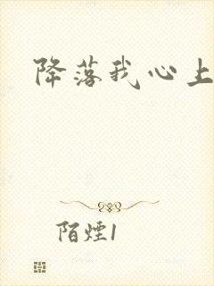 降落我心上
