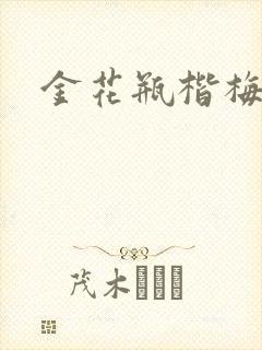 金花瓶楷梅花4封面