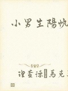 小男生阳帆封面