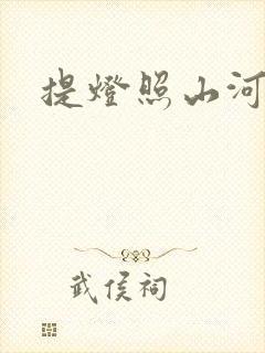 提灯照山河