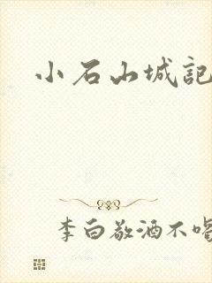 小石山城记封面