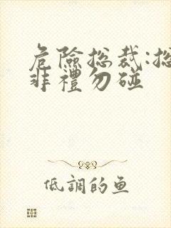 危险总裁:总裁非礼勿碰封面