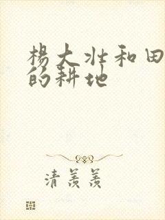 杨大壮和田桂花的耕地封面