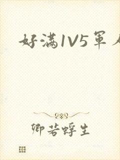 好满1V5军人
