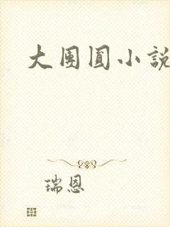 大团圆小说