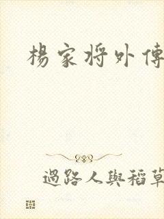 杨家将外传