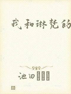 我和琳梵的故事封面