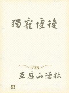 独宠傻后封面
