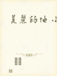 美丽的他 小说
