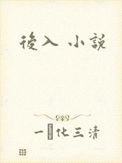 后入 小说