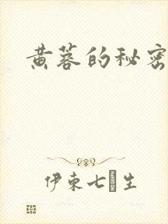 黄蓉的秘密封面