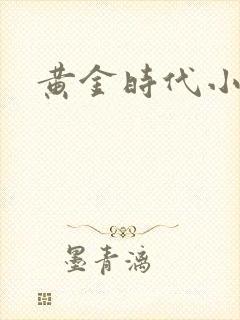 黄金时代小说