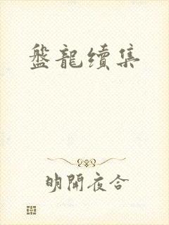 盘龙续集