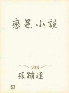 恋足小说