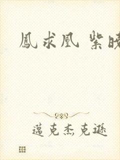凤求凰 紫晓封面