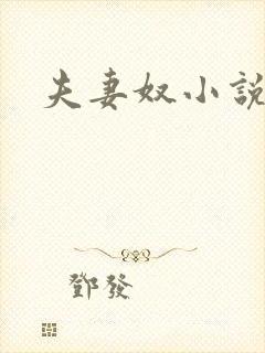 夫妻奴小说