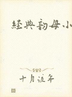 经典韵母小说封面