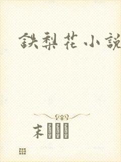 铁梨花小说