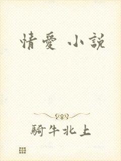 情爱 小说