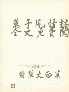 万千风情林小涛全文免费阅读封面