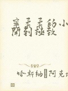 宁柔柔的小泬撑开到极致封面