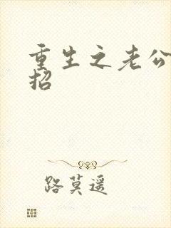重生之老公请接招封面
