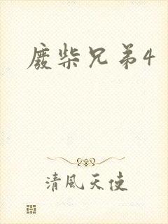 废柴兄弟4