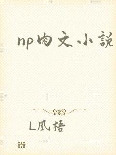 np肉文小说