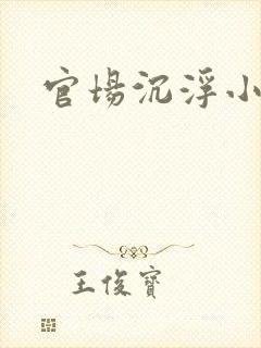 官场沉浮小说