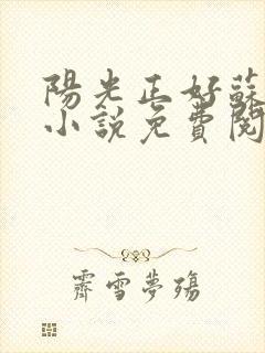 阳光正好苏玥玥小说免费阅读