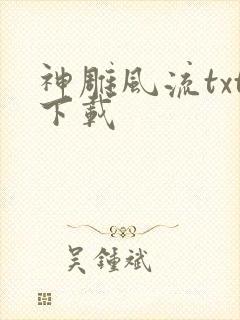 神雕风流txt下载