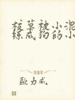 校草被小混混训练成狗的小说