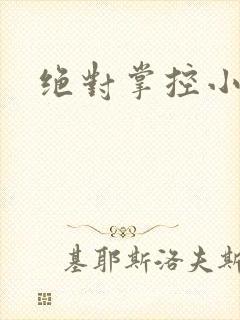 绝对掌控小说