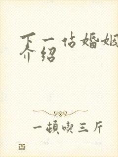 下一站婚姻剧情介绍