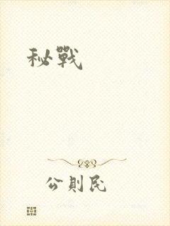 秘战