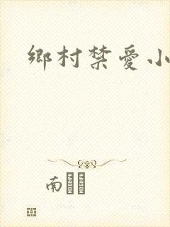 乡村禁爱小说