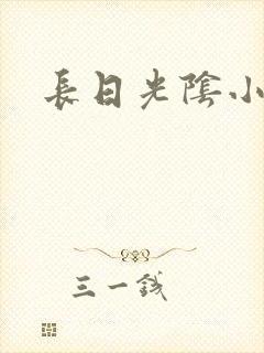 长日光阴小说