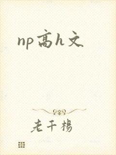 np高h文