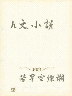 h文小说