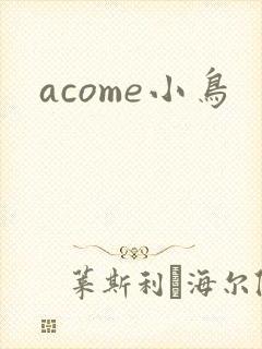 acome小鸟