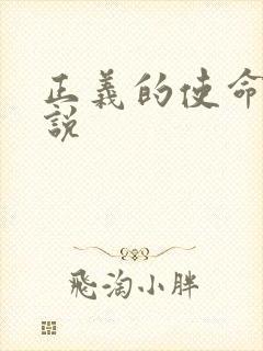 正义的使命 小说