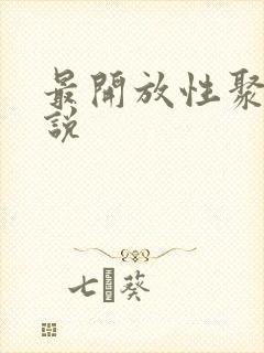 最开放性聚会小说