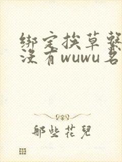 绑定挨草系统后没有wuwu名字