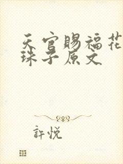天官赐福花怜塞珠子原文封面