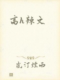 高h辣文
