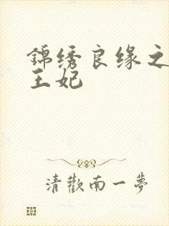 锦绣良缘之北地王妃封面