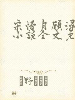 宋惜月顾浔渊的小说全文免费阅读