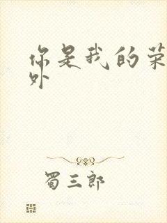 你是我的荣耀番外