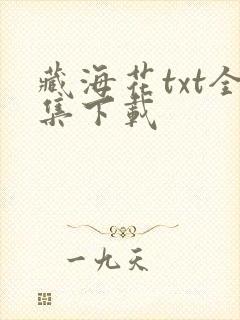 藏海花txt全集下载