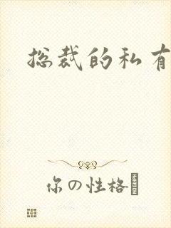 总裁的私有宝贝